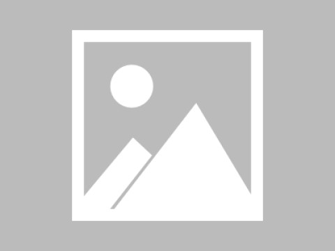 为企业文化建设，为企业提供专业的咨询与解决方案